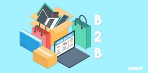 6 Différences Majeures Entre E-commerce B2B Et B2C - Codeur Blog