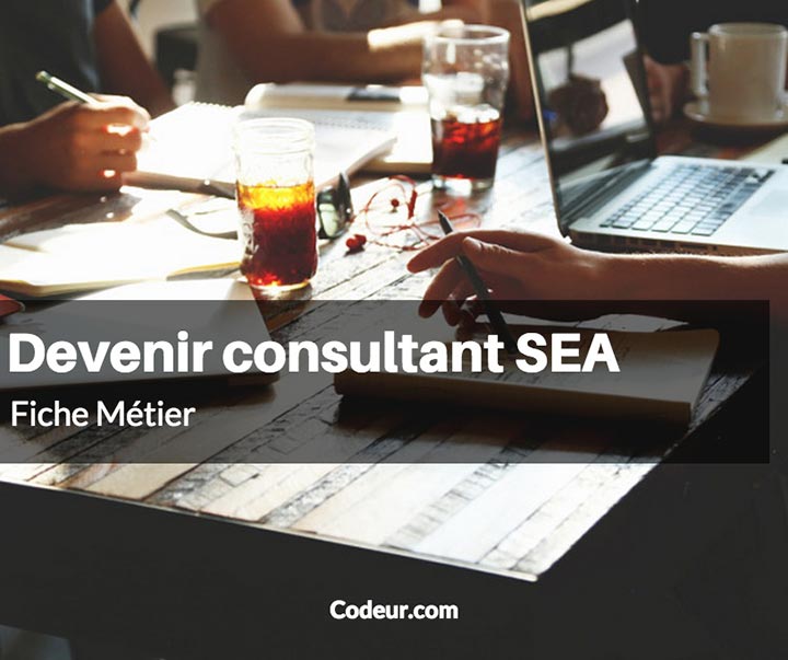 Comment Devenir Consultant Sea