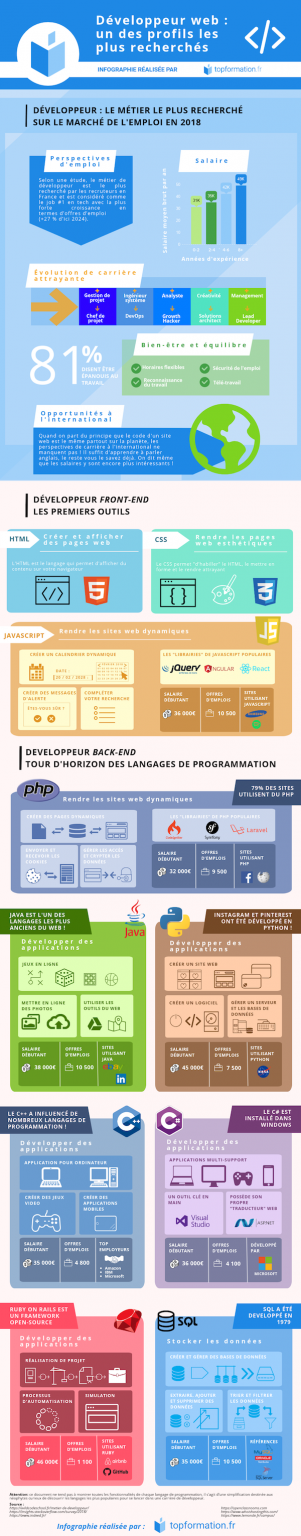 Développeur Web Quelles Compétences Pour Exercer Le Métier Infographie Codeur Blog