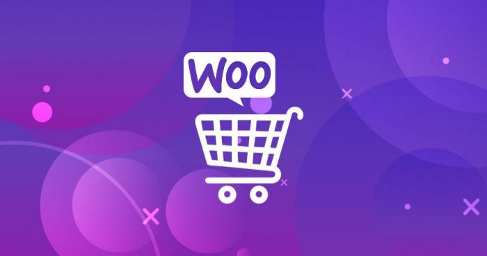 Créer Un E-commerce WordPress : Installer Et Configurer WooCommerce ...